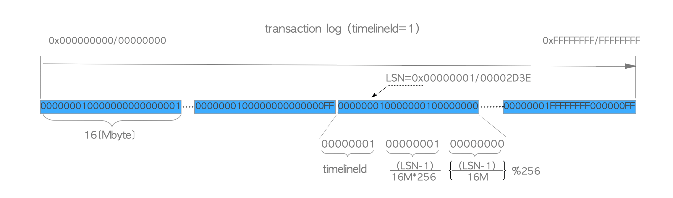 Transaction log and WAL segment files